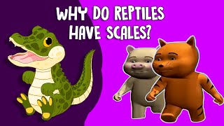 Why Do Reptiles Have Scales - Facts about reptiles for kids