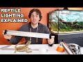 Reptile lighting explained and one huge mistake you need to avoid