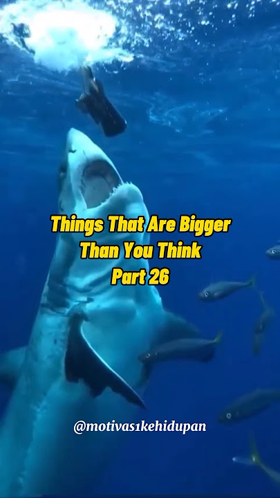 Things that are bigger than you think part 27 #shorts #ytshorts #shortsvideo #motivas1kehidupan
