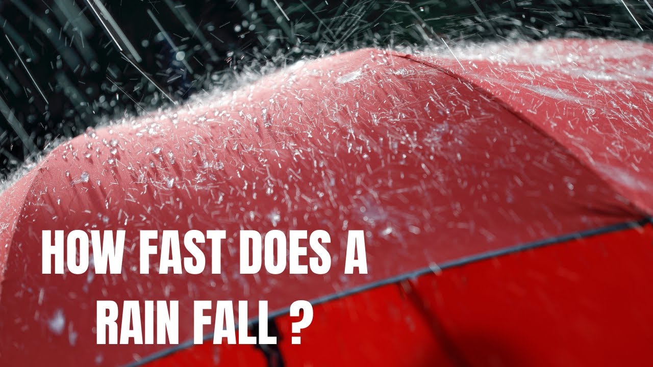 Fall Fast How Fast Do Raindrops Fall : The Anatomy of a Raindrop – EEWNQ