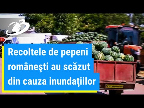 Video: Asociația Pentru Calitatea Vopselei Stabilește Standarde Din Industrie