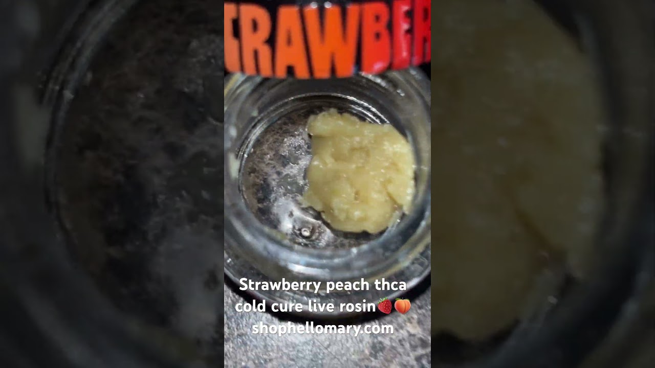 Shophellomary.com Thca cold cure live rosin 