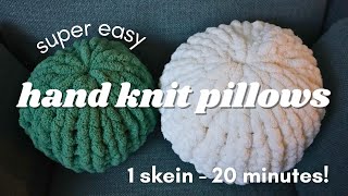 Make This Cute Pillow in 20 Minutes (1 skein!)