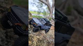 scx30 shorts