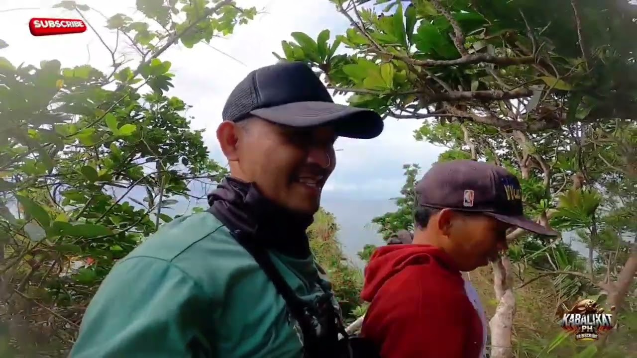 Gubat sa taas ng bato sa probinsya ng bikol #bikol#siruma #bikol #viralvideo #camarinessur 