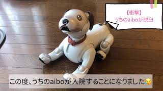 0509-192 Aibo動作未確認【修理必要】