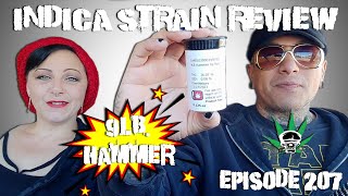 9lb Hammer-  Indica Strain Review