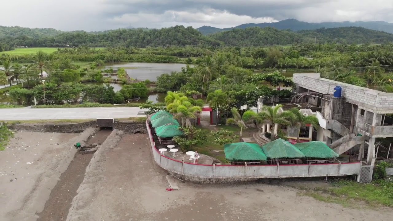 Hamtic Antique YouTube