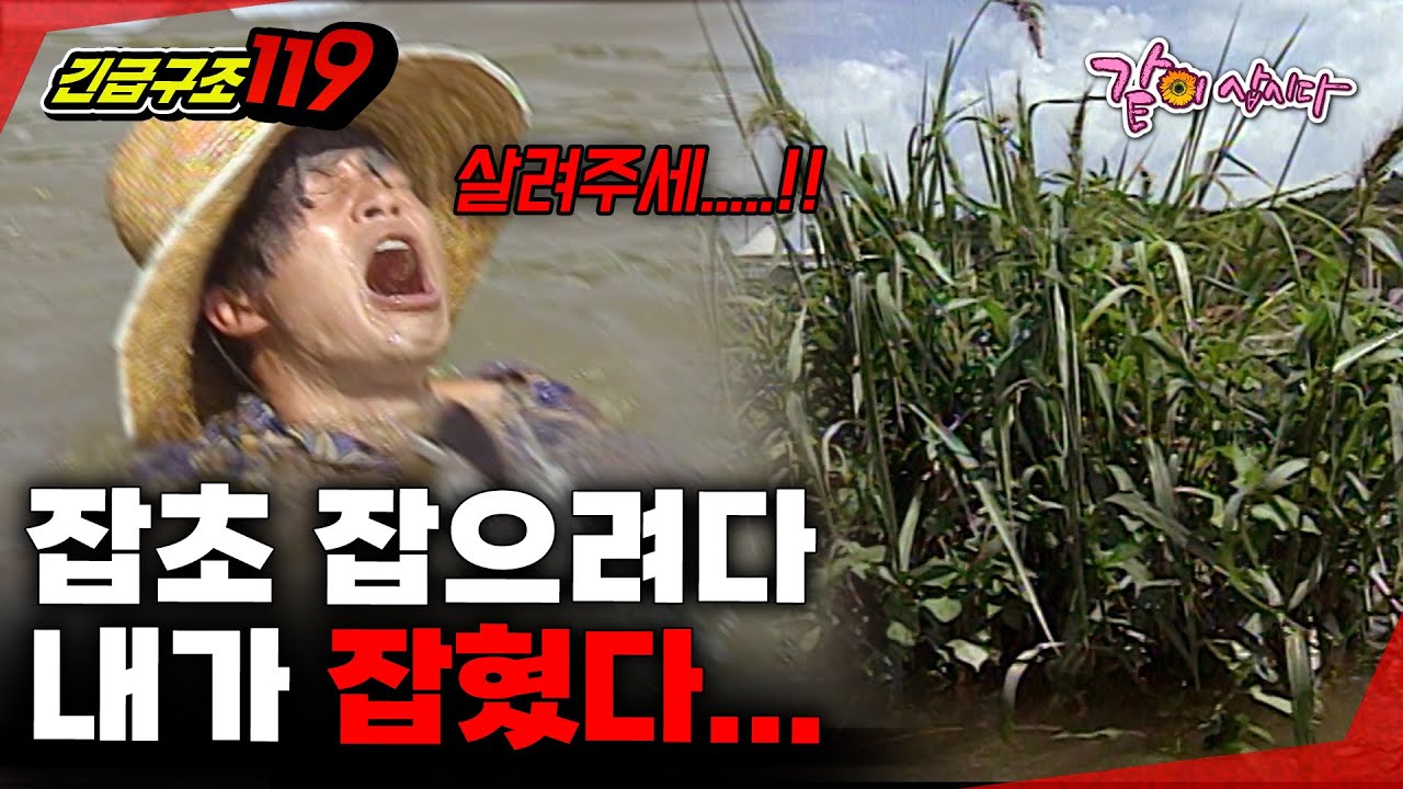 [긴급구조 119] 전북 임실군 용두리, 강물 수초를 제거하려다가 내가 제거될 뻔했다…ㅣKBS 1996.08.27