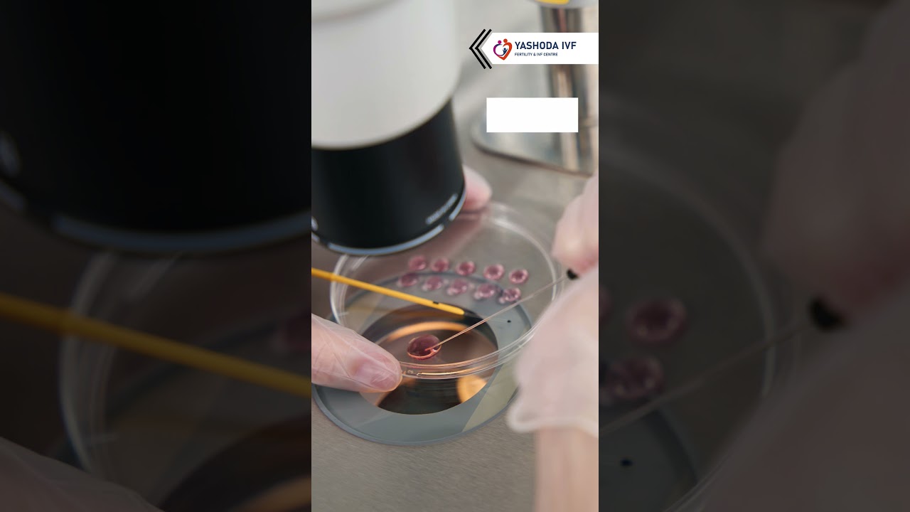 How Frozen Embryos Survive | Dr.Balasaheb Khadbade 