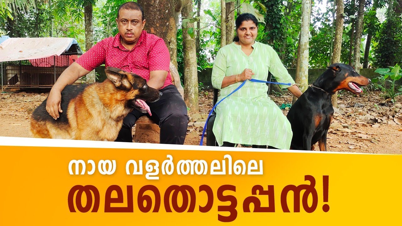 വർഷങ്ങളുടെ പാരമ്പര്യമുള്ള ഒരു കിടിലൻ DOG KENNEL dogkennels 