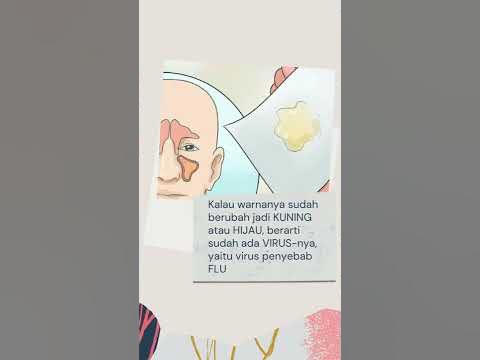 Mengapa Ingus berwarna Hijau - PART 1