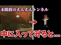 【妖怪ウォッチ2】開放されてないえんえんトンネルにチートで入るとどうなるの？【元祖/本家/真打】