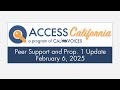ACCESS California Training Webinar: Mental Health and Substance Use Peer Support Updates