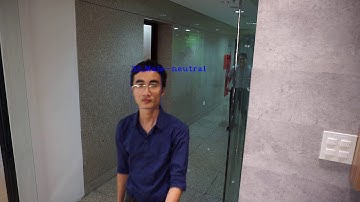 Real time Age/Gender/Facial Detection Demo