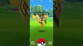 How to catch BRAND NEW Tapu Koko in Pokémon Go FOR FREE! (NO RAIDS)
