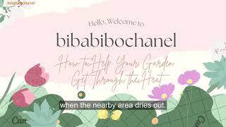 Bibabibo Chanel Learning English Everyday How To Help Your Garden Get Through The Heat