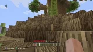 Cache Cache Minecraft : Map Jardin #2