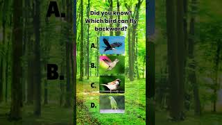 Did You Know? Which Bird Can Fly Backward? 🐦🦅#shorts  #challenge