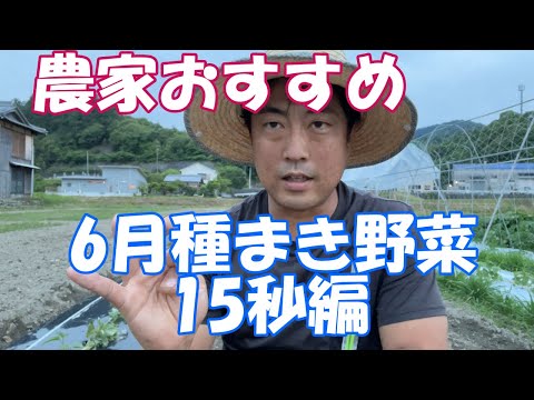 Zone 6の年間種まきカレンダー：失敗しない実践テクニック
