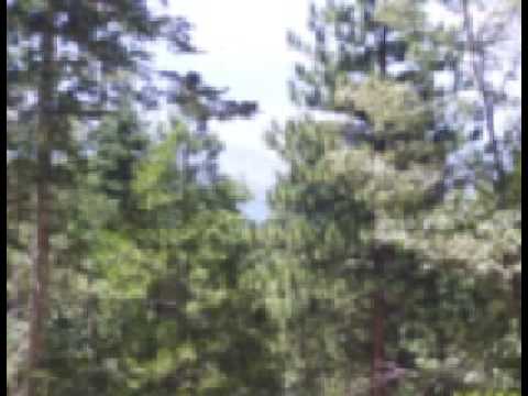 Watch Mike Monday - When Rain Falls on YouTube