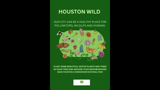 Natives in the City - Creating a Healthy Place for Pollinators, Wildlife and Humans