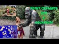 Point defiance zoo and aquarium  tacoma washington  virtual tour with bisayang ilocana