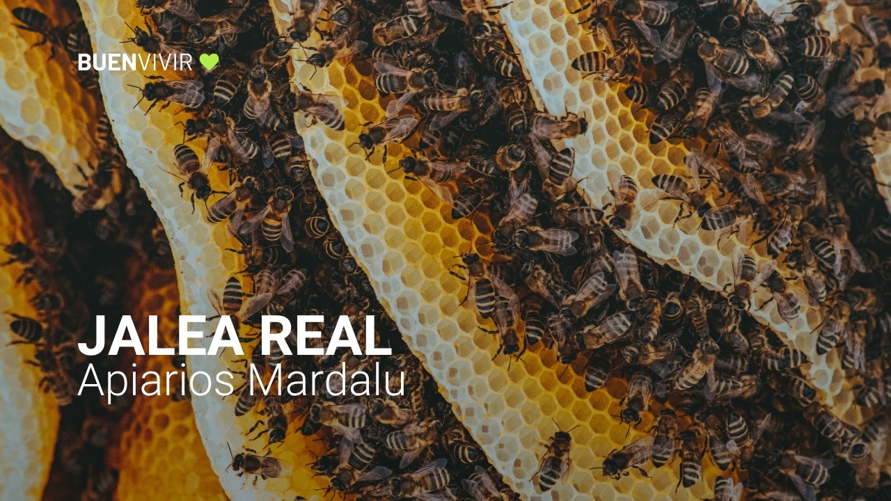JALEA REAL - MINUTO SALUDABLE - Apiarios Mardalu - BUENVIVIR 💚