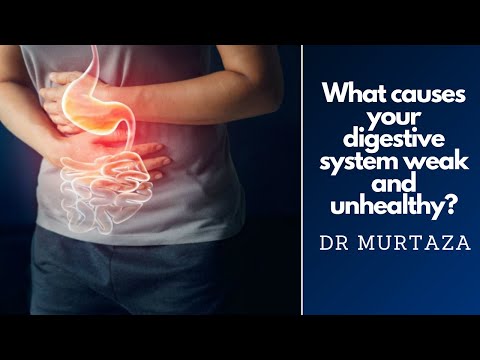 What makes your Digestive System weak and unhealthy.  نظام ہاضم ضعیف اور غیر صحت مند ہونے کا سبب۔