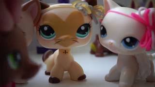 LPS Сериал Типичная школа 1 серия LPS Сериал Типичная школа 1 серия