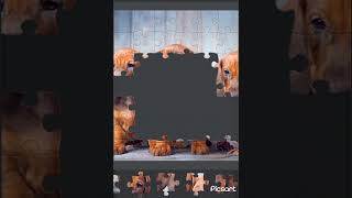 Games. Puzzle. The world of dogs screenshot 1