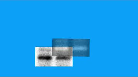 7D96DF41882229E8ADEFB1B40A7088#5