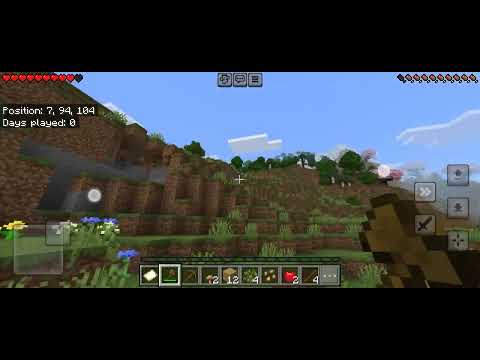 Minecraft first video
