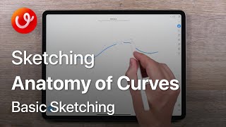 uMake Help - Anatomy of Curves