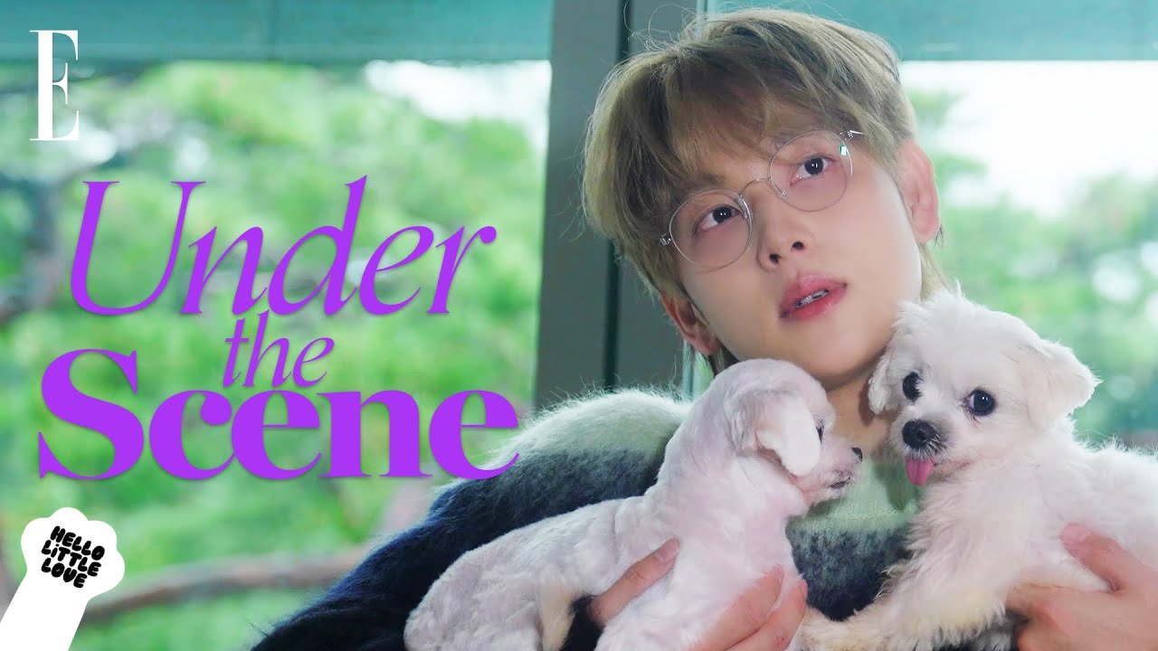 만난 지 1분 만에 친해짐.🐶 임시완과 구조견 세 친구 츄츄, 히히, 보슬이의 환상 케미 #헬로리틀러브 I ELLE KOREA