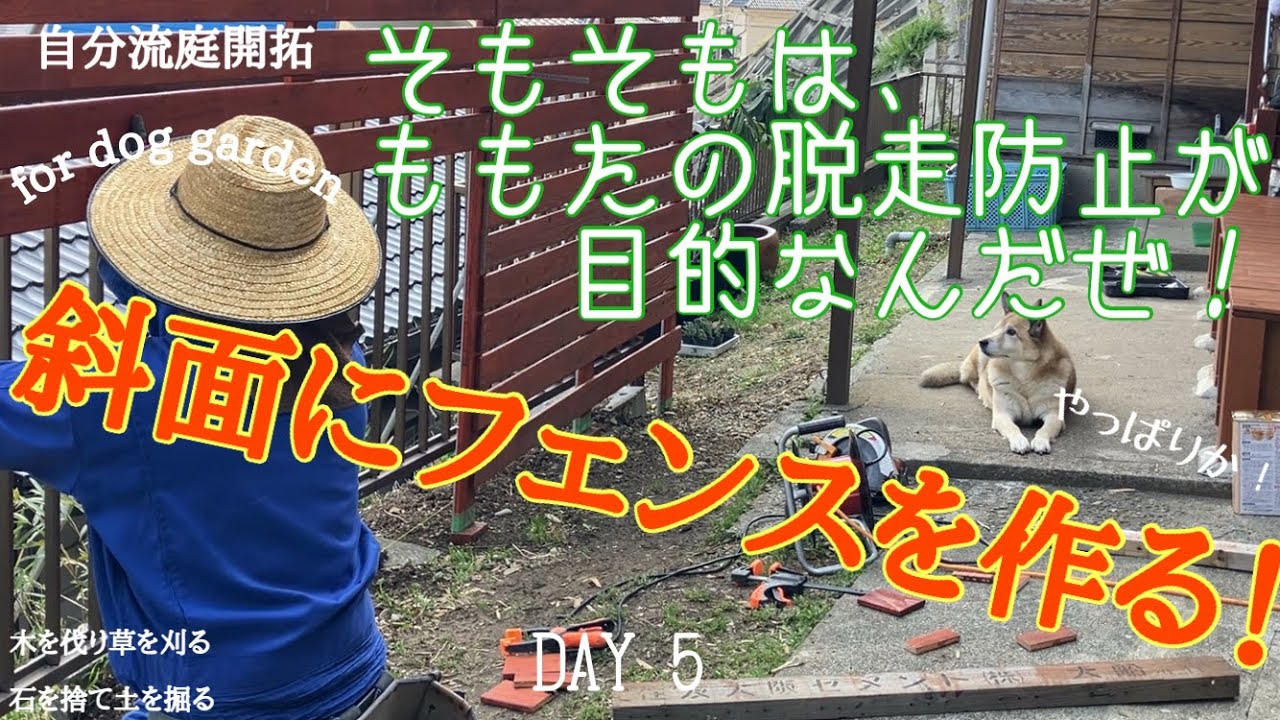 【庭開拓】#72 DIY 「逃げ出そうとか考えた事無いし」とももたの目が語ってるような気がした。斜面にフェンスを作る。　#ウッドフェンス