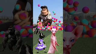 The mascot vibrato assistant Dog placed on the football field is popular, co-produced, and creative