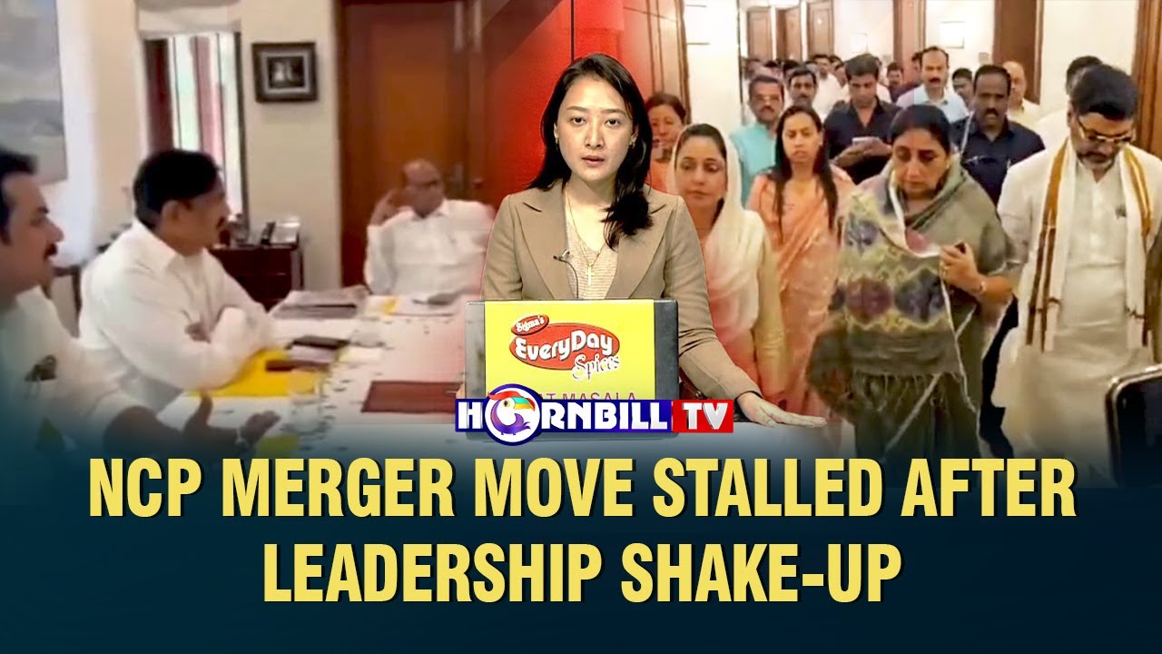 NCP MERGER MOVE STALLED AFTER LEADERSHIP SHAKE-UP
