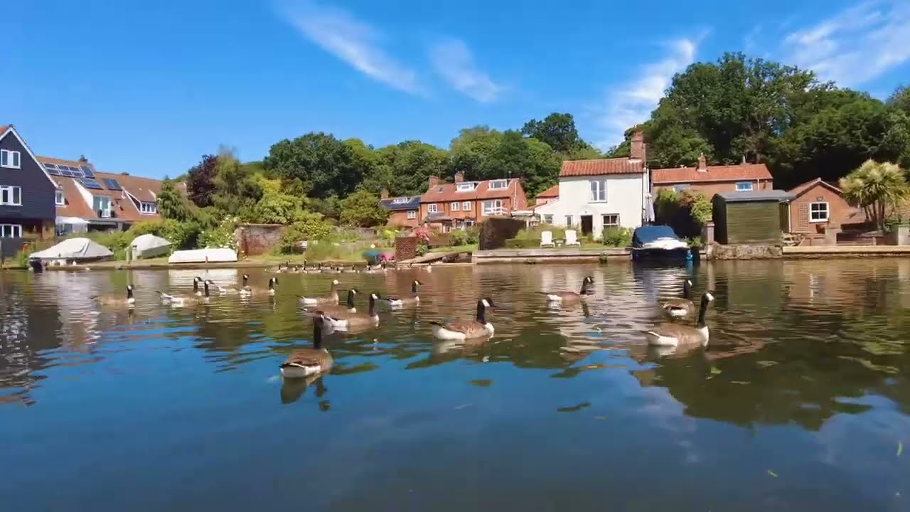 Copyright Free Video Without Music