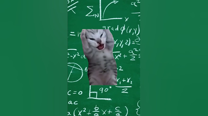 Quando devo risolvere un problema di matematica🤣#cat #funny