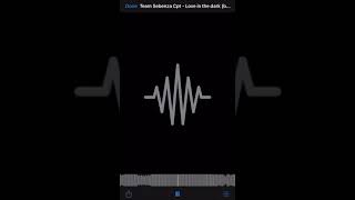 Team Sebenza Cpt - Love in the dark ( bootleg ) unreleased snippet