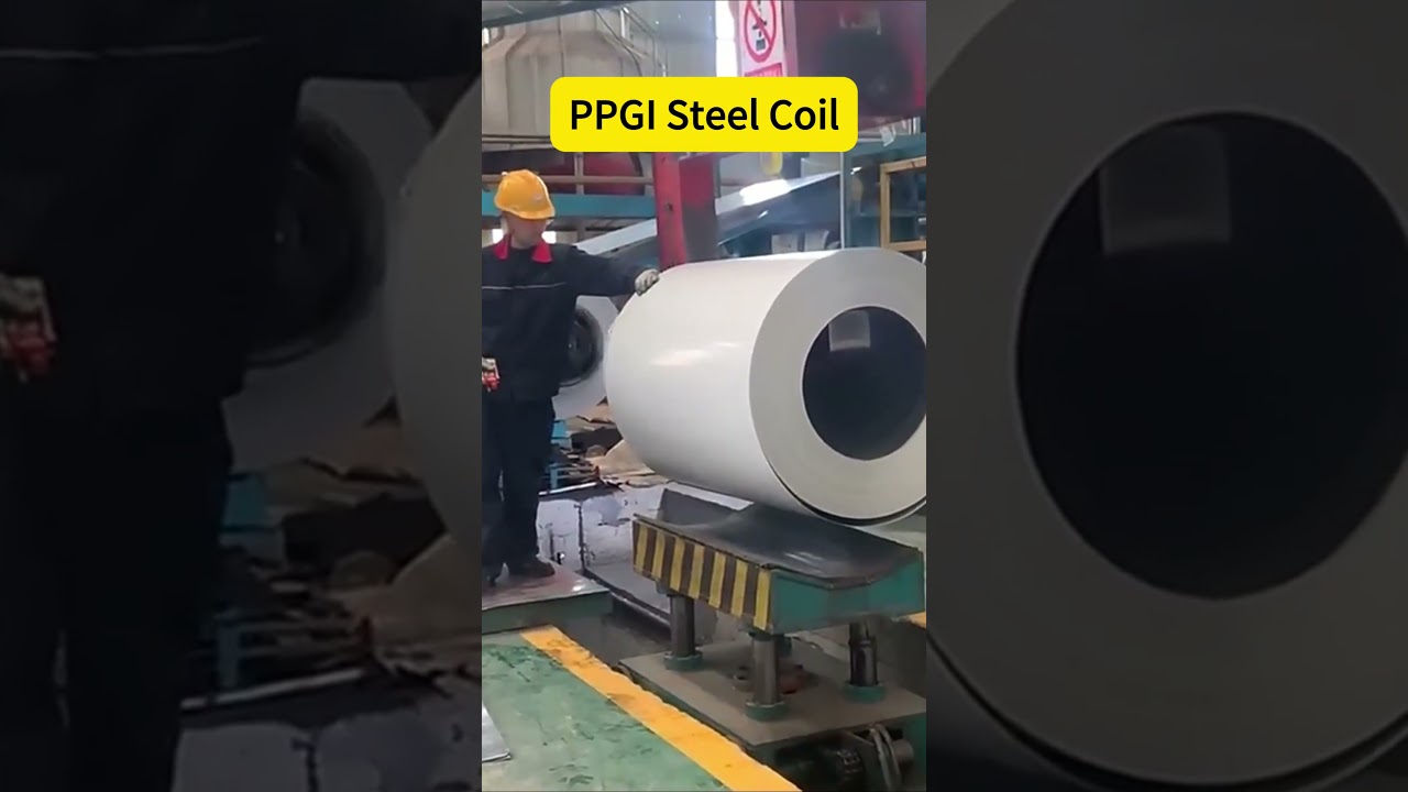 Pre-Painted Galvanized Steel Coils! Colorful. Strong. Fast.🎨