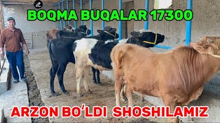 Arzon Joyidan Izlaganlarga