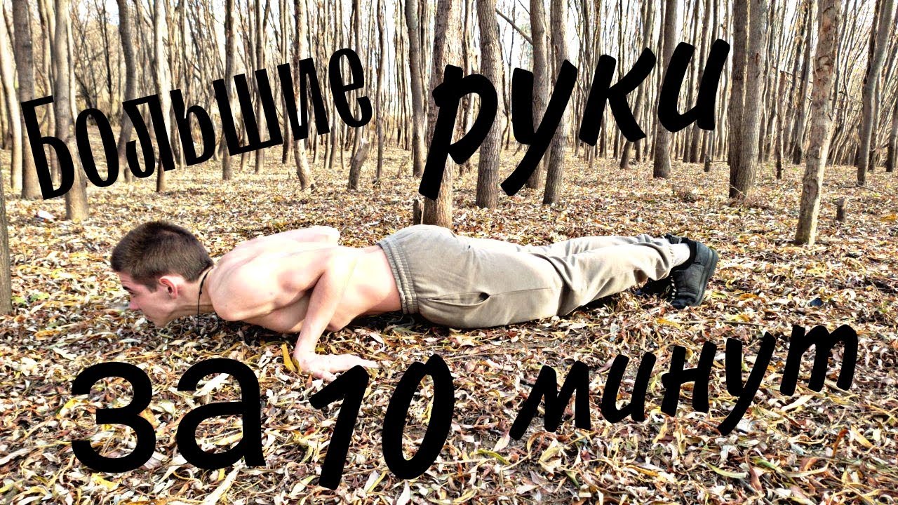 Primobol ����� �������: ����.