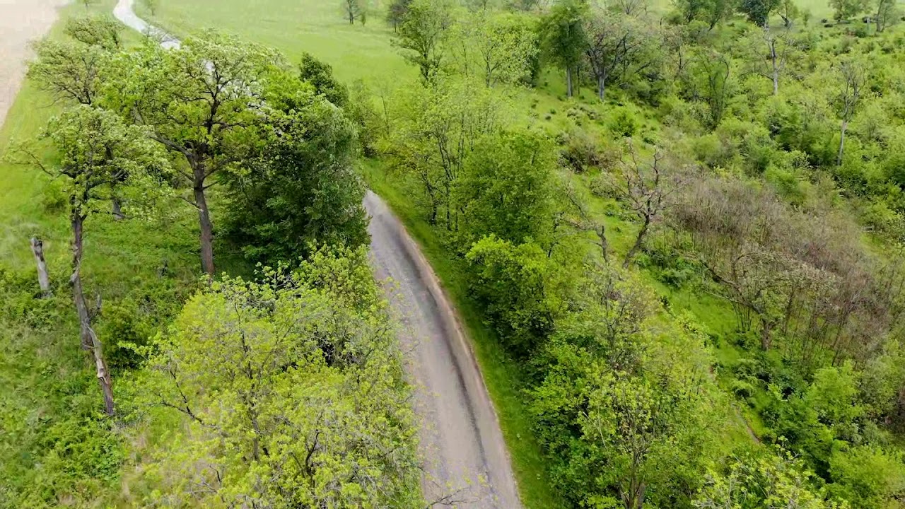 Barneveld Prairie State Natural Area YouTube