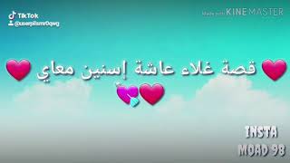 مصباح زايد 2010
