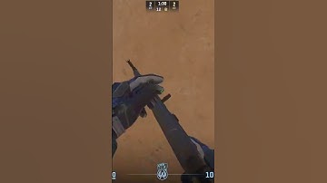 "Delay them, GabeN" CS2