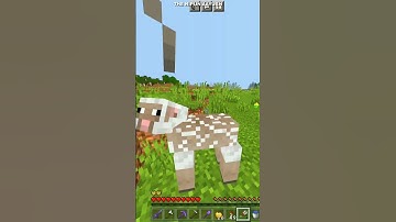 MINECRAFT BUT, SHEARING DROPS OP ITEM | The Nipun Aayush | #short | #minecraft