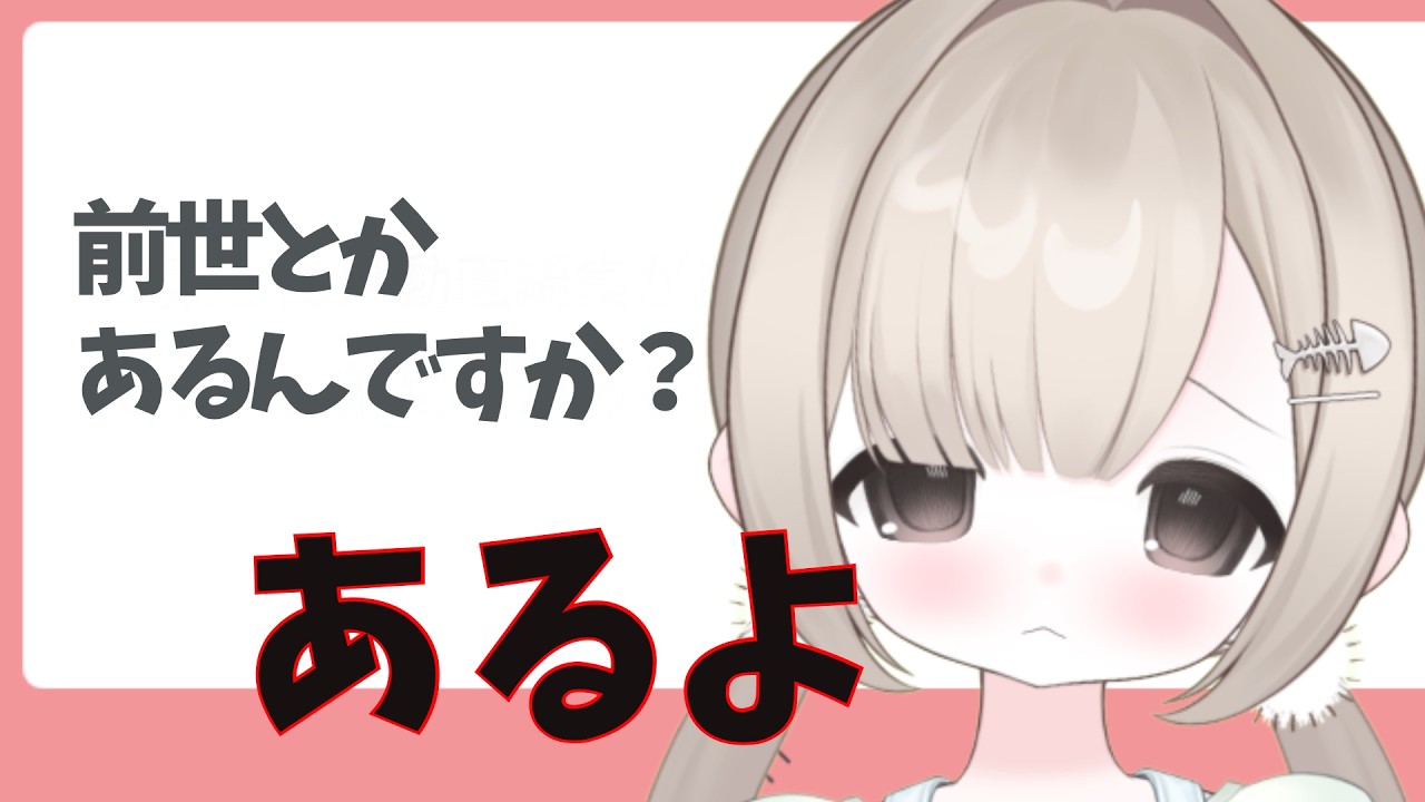 弱小個人Vtuberが弱小個人Vtuberの前世を持つ【質疑応答】