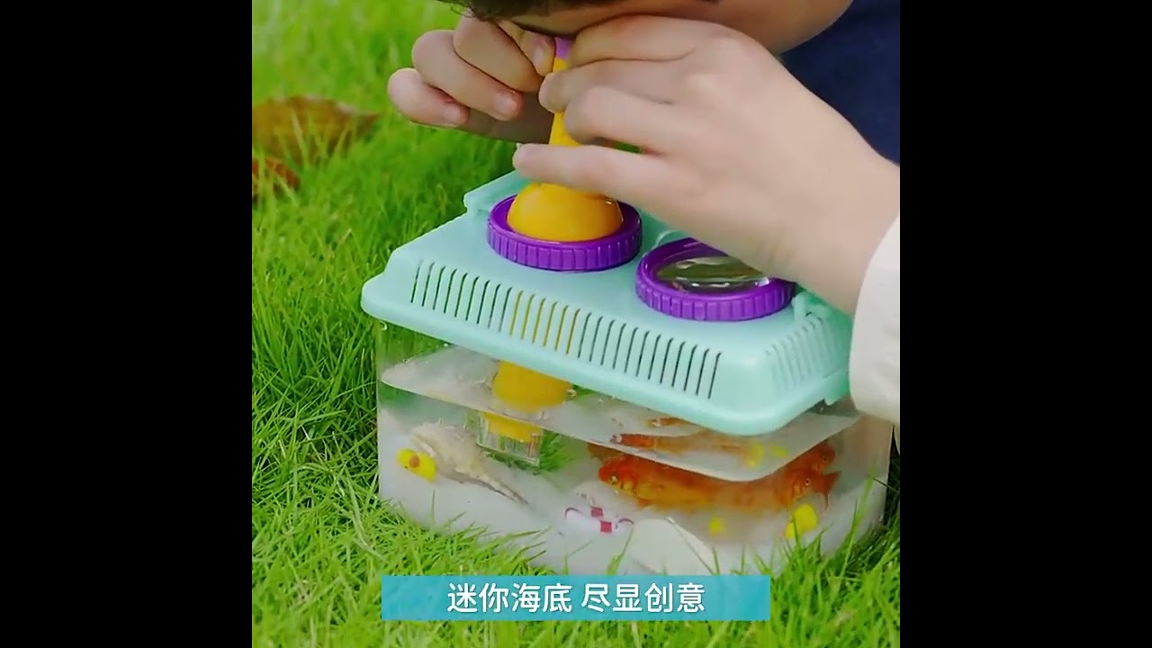 Observation animal bucket kids science toy magnifier insect viewerKB029310